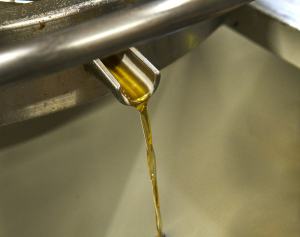 Huile d'olive dorée versée d'un bec en inox dans une cuve
